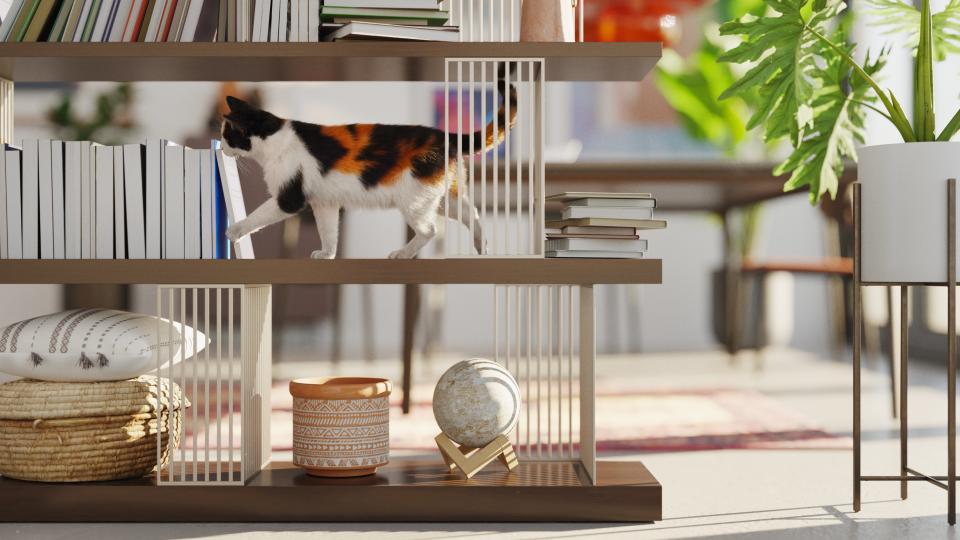 Cat walking along bookshelf