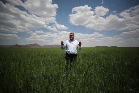 Suidlander movement spokesman Simon Roche stands in farmland near Van der Kloof, South Africa, October 29, 2018. REUTERS/Mike Hutchings/File Photo