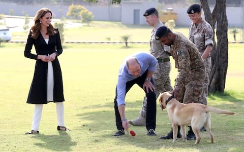 The Duke and Duchess of Cambridge with golden labrador Polka during a visit to the Army Canine Centre - Credit: PA