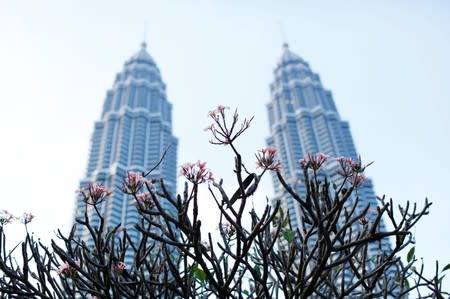FILE PHOTO: Flowers bloom in front of the Petronas Towers in Kuala Lumpur