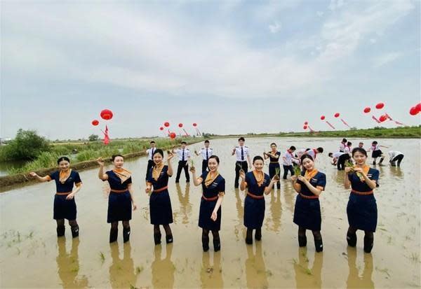 中國青島航空空姐和空少穿全套制服下田，被酸是作秀。（民航資源網）