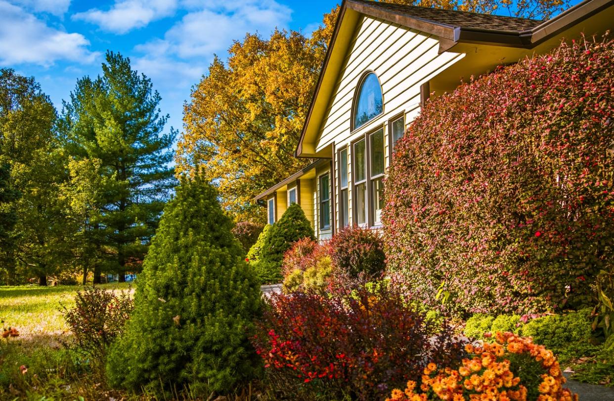 View of Midwestern house in late afternoon in autumn with flowers and bushes in front