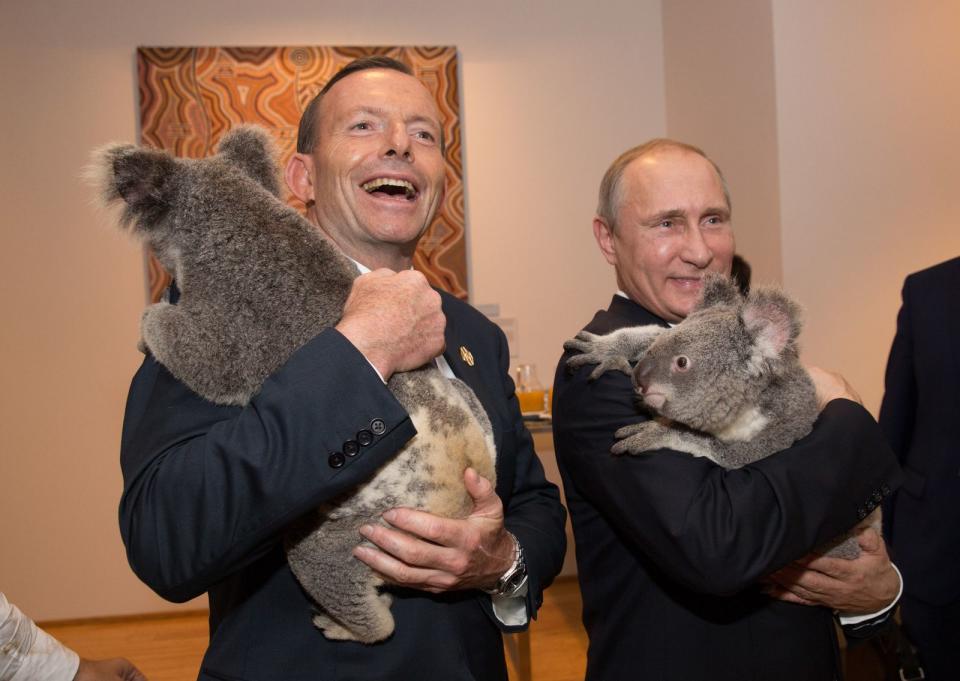 Die Australier scheinen eine Vorliebe dafür zu haben, Staatsgästen Tiere in die Hand zu drücken: Präsident Wladimir Putin (rechts) hatte beim G20-Gipfel in Brisbane aber kein Problem damit, einen Koala auf den Arm zu nehmen. (Bild: Andrew Taylor/G20 Australia via Getty Images)