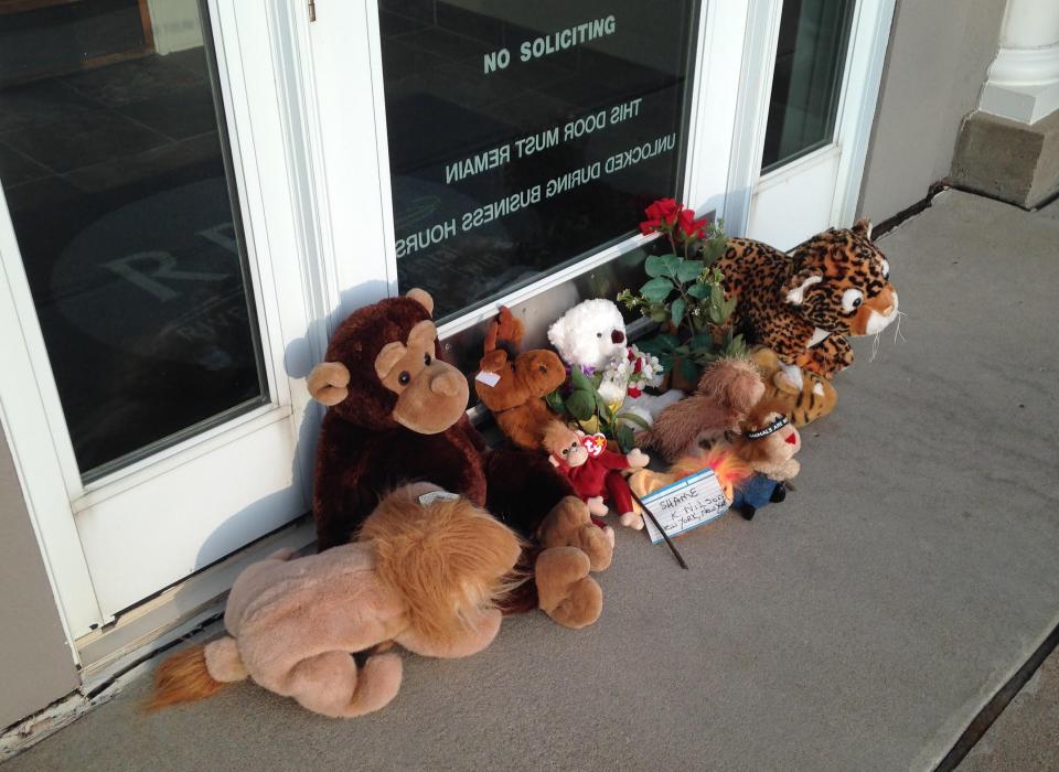 Stuffed animals left by protesters block the doorway of River Bluff Dental clinic after the killing of a famous lion in Zimbabwe, in Bloomington, Minnesota July 28, 2015. Wildlife officials on Tuesday accused an American hunter of killing Cecil, one of the oldest and most famous lions in Zimbabwe, without a permit after paying $50,000 to two people who lured the beast to its death. The lion was lured out of Hwange National Park using a bait and was shot by dentist Walter James Palmer, Johnny Rodrigues, chairman of Zimbabwe Conservation Task Force (ZCTF), told reporters. Picture taken July 28, 2015. REUTERS/David Bailey