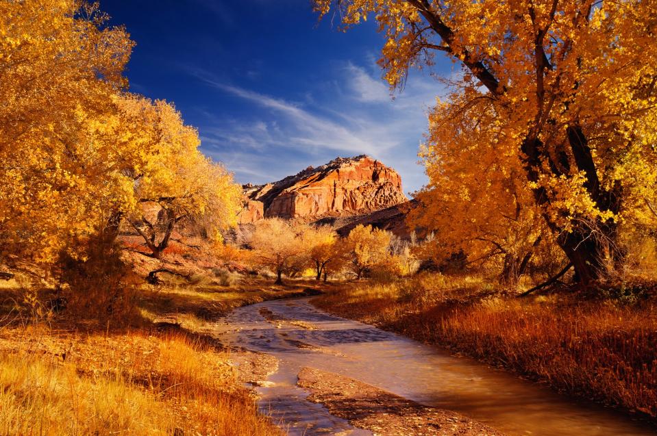 capital reef national park