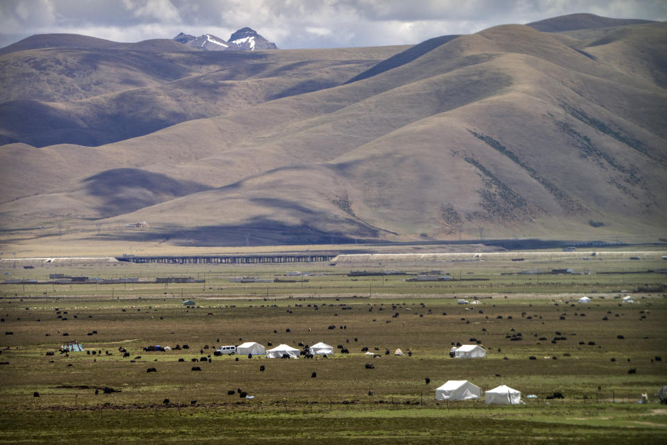 FILE - Yaks graze around tents set up for herders to live in the during the summer grazing season on grasslands near Lhasa in western China's Tibet Autonomous Region, as seen during a rare government-led tour of the region for foreign journalists, Wednesday, June 2, 2021. An extensive report by Human Rights Watch says China is accelerating the forced urbanization of Tibetan villagers and herders, adding to state government and independent reports of efforts to assimilate them through control over their language and traditional Buddhist culture. (AP Photo/Mark Schiefelbein, File)