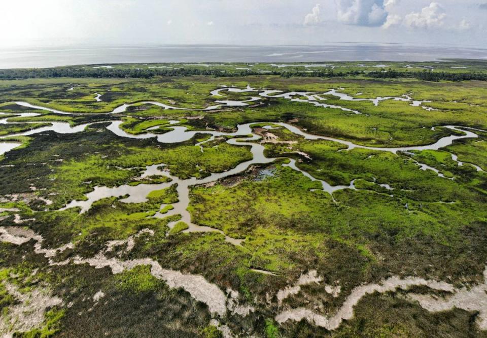 Estuaries weave through marsh near Bayou Caddy in Hancock County on Monday July 26, 2021.