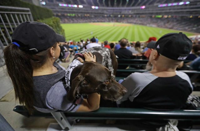 Chicago White Sox Draw 1,122 Dogs in Win Over Indians