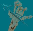 The hand bones of the modern giant panda are seen in his undated handout illustration