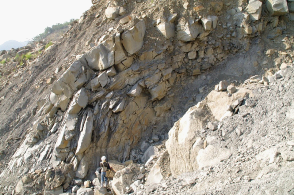 小林村東側獻肚山大規模崩塌所見之砂頁岩互層挫曲，以砂岩為主之沉積岩層長期受到重力作用，發生似屈膝跪坐狀。（圖片來源／引用自Catastrophic landslide induced by Typhoon Morakot, Shiaolin, Taiwan ,2011, Tsou, Feng, and Chigira ,2011 Geomorphology 127,178-166)