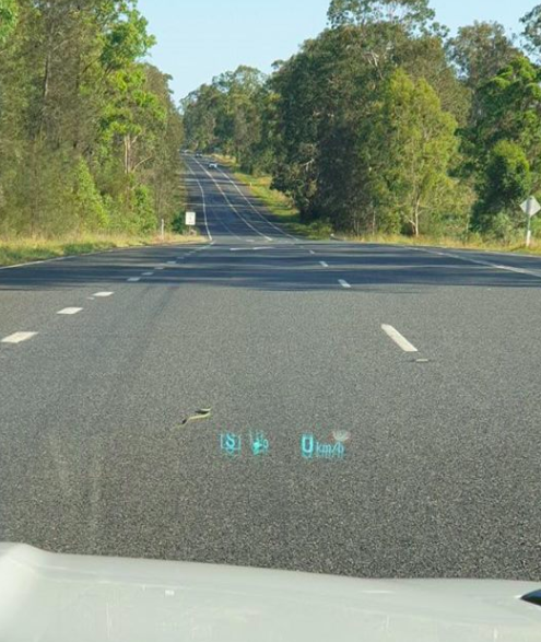 The snake was able to cross the road without the worry of being run over by passing cars. Source: Facebook/ Traffic and Highway Patrol Command – NSW Police