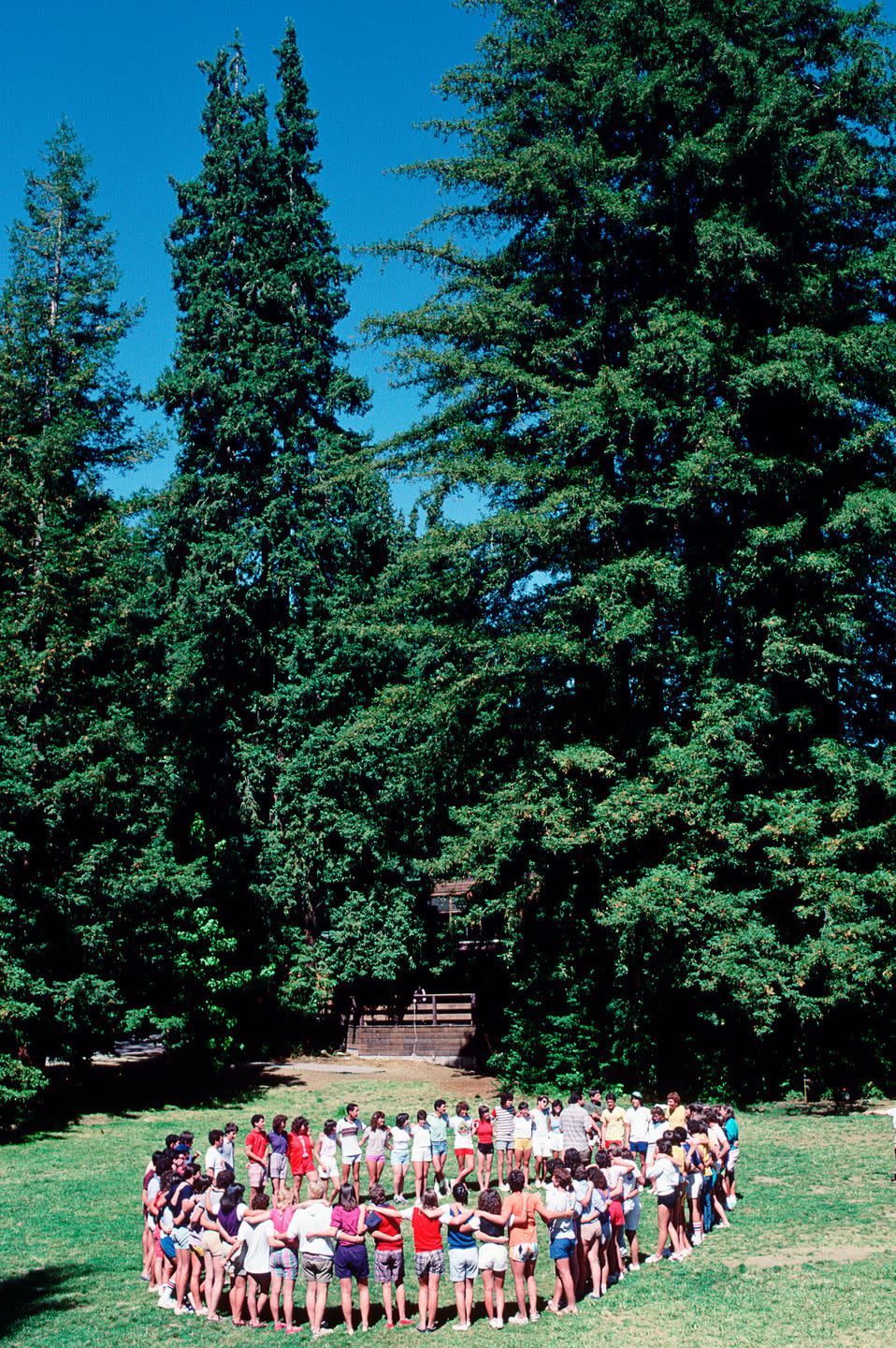 a group of young jewish people stand, linked, in a circle, at a jewish summer camp in saratoga, california