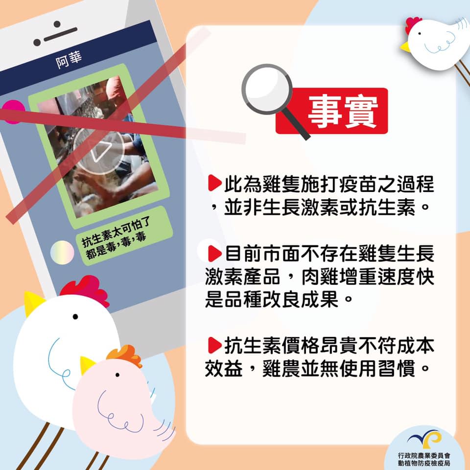 近日在通訊軟體LINE上有訊息指出「一隻雞打四種抗生素」，農委會表示，這是假的   圖：農委會/提供