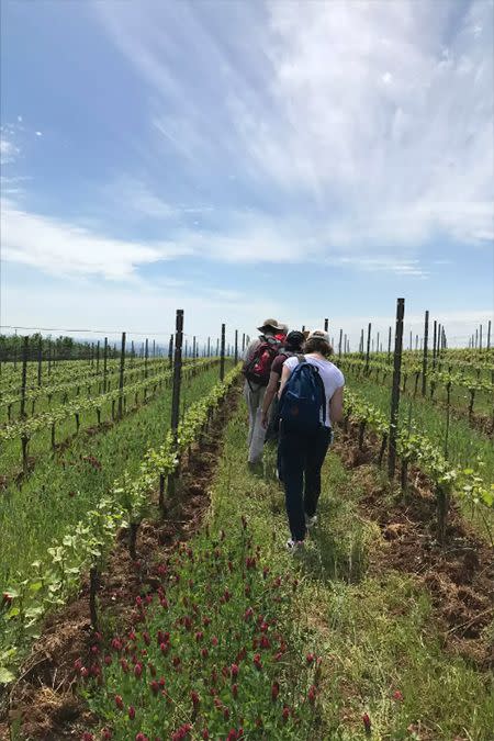 2) Hiking Wine Tour in the Dundee Hills