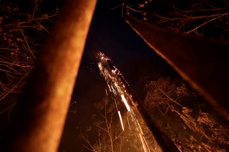 A tract of the Amazon jungle burns as it is cleared by loggers and farmers in Porto Velho