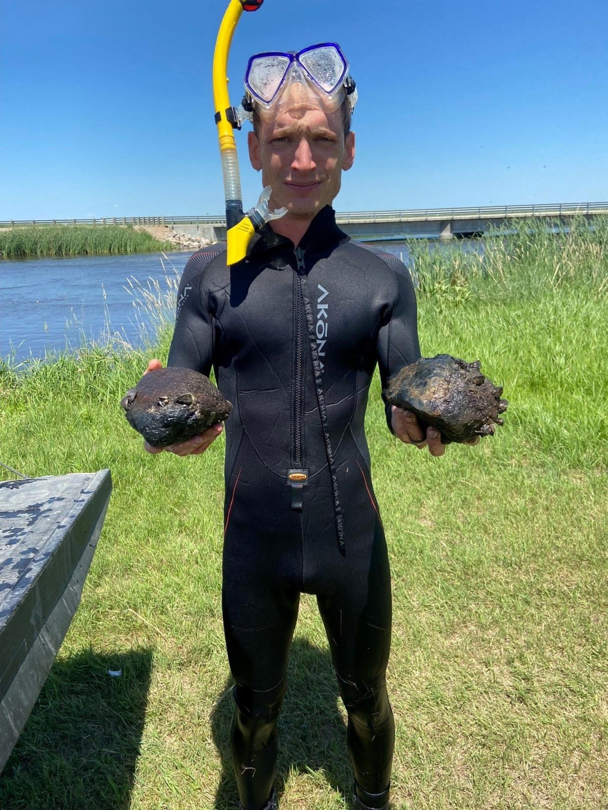 A diver holds two rocks pulled Sand Lake National Refuge that are festooned with zebra mussels. South Dakota Department of Game, Fish and Parks announced on Friday that the wildlife refuge and James River as a whole are both considered infested by the stripy mollusk.