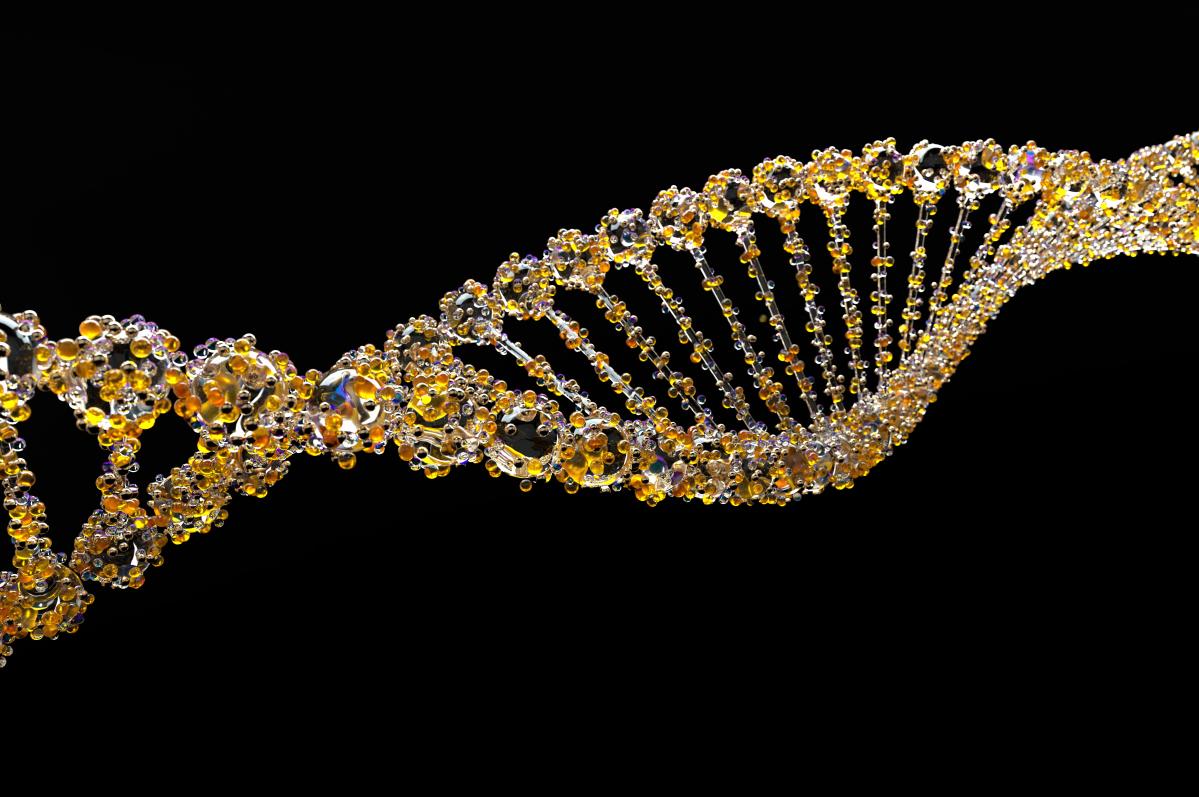 Учените създават чрез генетично инженерство бактерии за откриване на ракови клетки