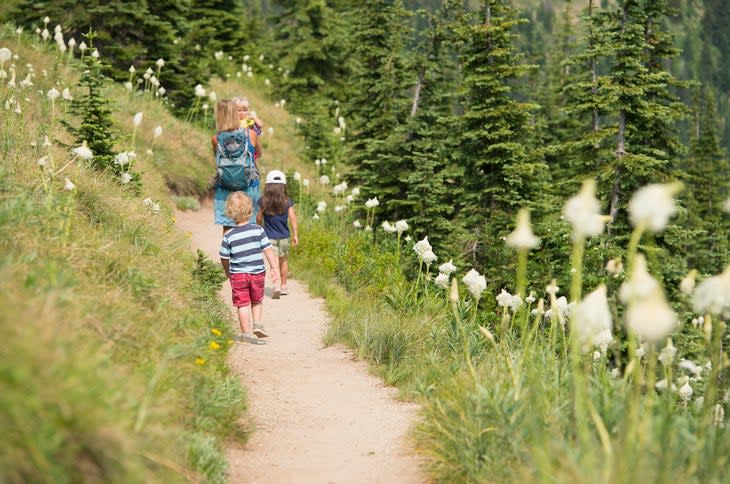 Family hiking on trail in summer