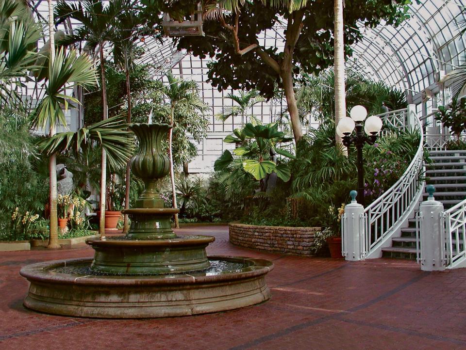 The John F. Wolfe Palm House at Franklin Park Conservatory and Botanical Gardens in Columbus features many species of palms from around the world.