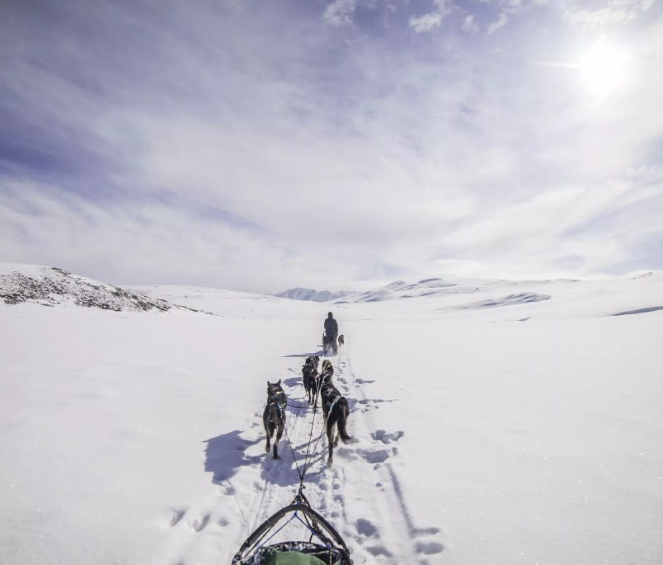 <p>Arctic Dog Adventure Co./Emily Rosenblatt</p><p>Itikmalik River, here we come! Located in the remote Brooks Range, high above the Arctic Circle, your Alaskan backcountry trip of a lifetime awaits—in the form of a classic dog-sledding traipse past snow-capped mountains, migrating caribou, and (with any luck) bonus views of the aurora borealis in this vast, dark sky haven. Meals are included—and may even include vegan chocolate cake. </p><p>The outfitter’s Arctic camp is located just outside Gates of the Arctic National Park and Preserve. You’ll be tent-camping, driving your own team of up to six dogs, and using outdoor latrine facilities. Given the endless acres of tundra up here, there’s a good chance your mushing odyssey will also include sightings of that famous Alaskan wildlife, from musk ox and Dall sheep to grizzlies and wolves. </p><p>[From $10,399 per person for seven days; <a href="https://www.arcticdogco.com/" rel="nofollow noopener" target="_blank" data-ylk="slk:arcticdogco.com;elm:context_link;itc:0;sec:content-canvas" class="link ">arcticdogco.com</a>]</p>