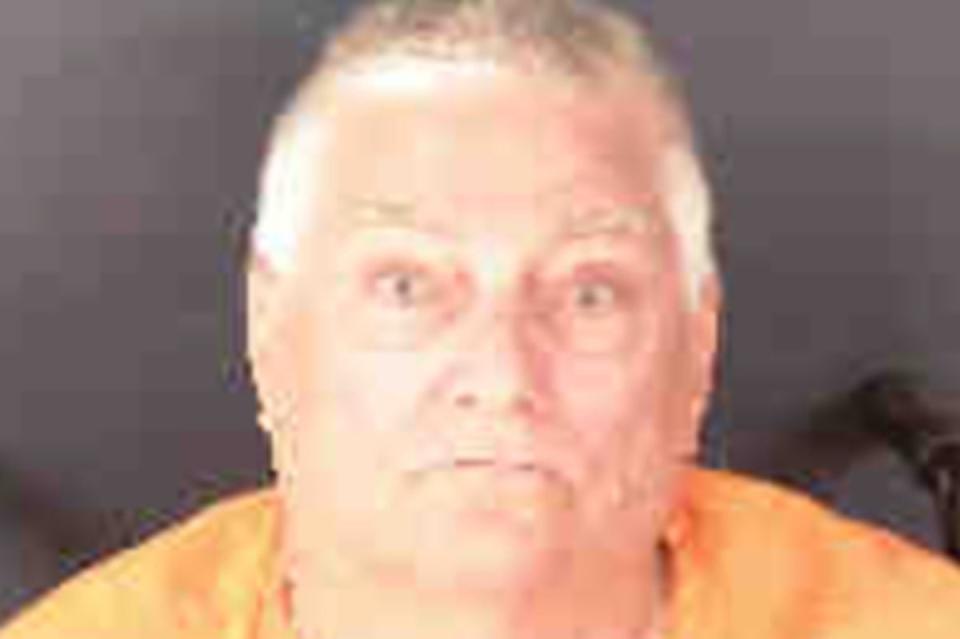 Richard Minor, 66, is accused of shooting another motorist at Hart's Landing Fishing Pier on August 3 following a dispute over a handicapped parking space (Sarasota County Jail)