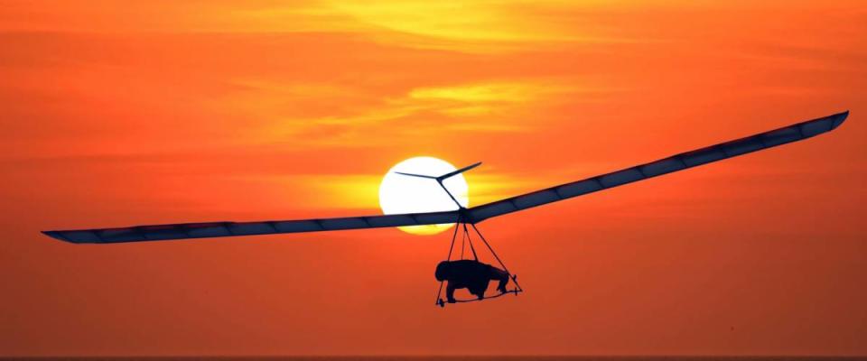 hang glider at sunset