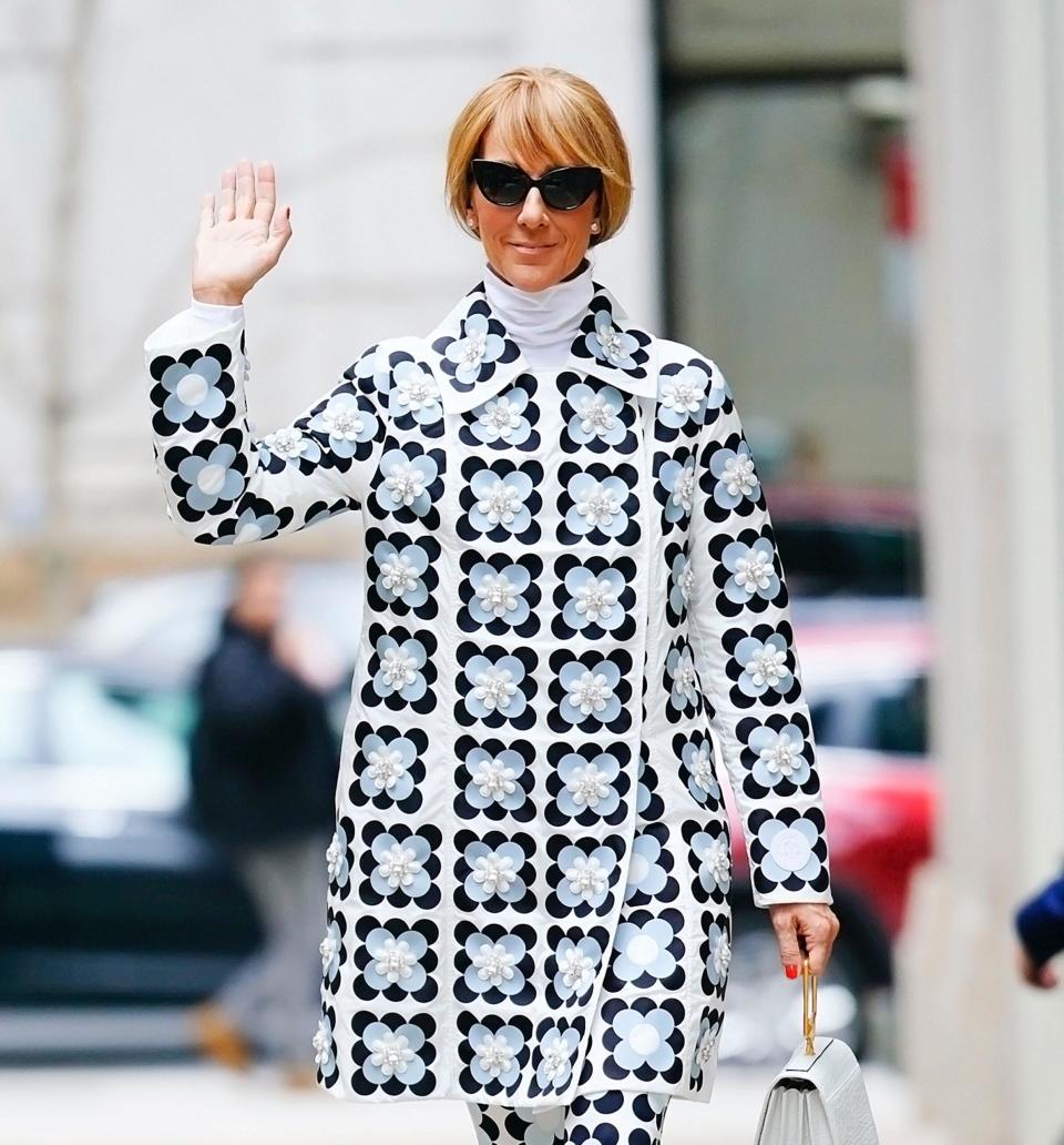 Celine Dion poses it up for the photographers on March 03 2020 in New York City