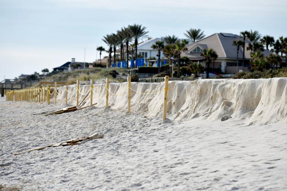 In this photo from November, a wall of sand stands where the dune once sloped to the the beach North of Mickler's Landing in South Ponte Vedra Beach. Erosion of the already storm-damaged dunes was made worse by winds and high tides from Hurricane Nicole passing by Northeast Florida