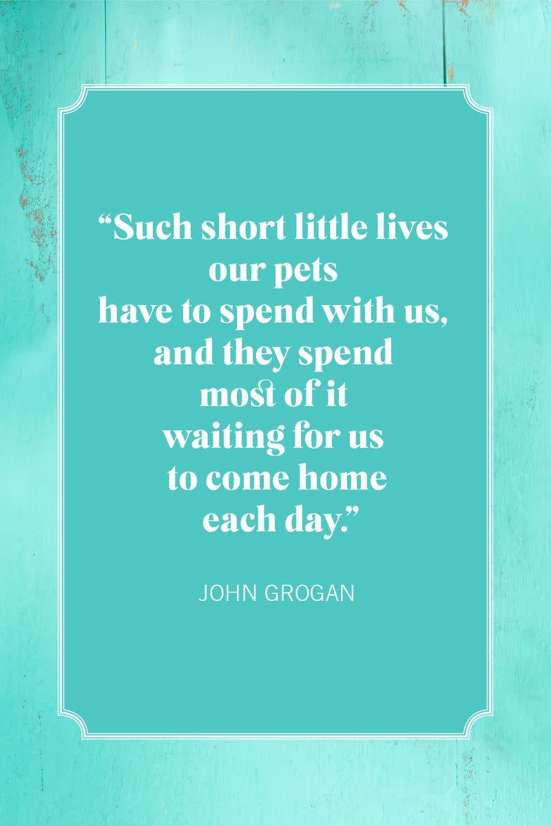 dog mom quotes john grogan