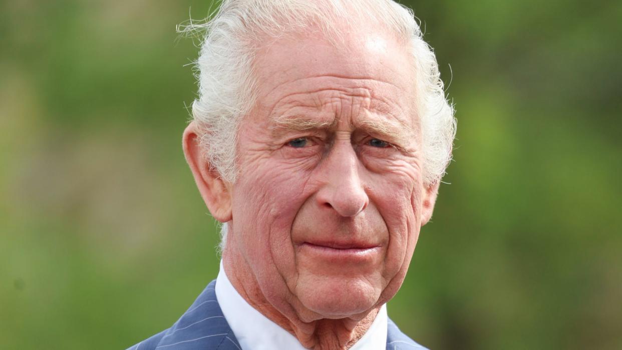 King charles wearing a blue pinstripe suit standing in front of greenery