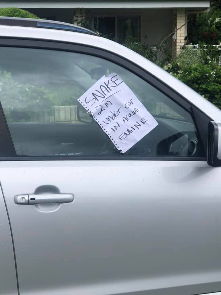 A note on a car window says, "SNAKE 2m under car in around engine'. 