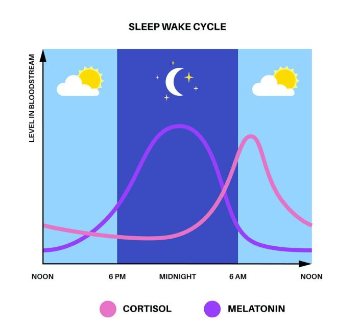 your-body-has-an-internal-clock-that-dictates-when-you-eat-sleep-and