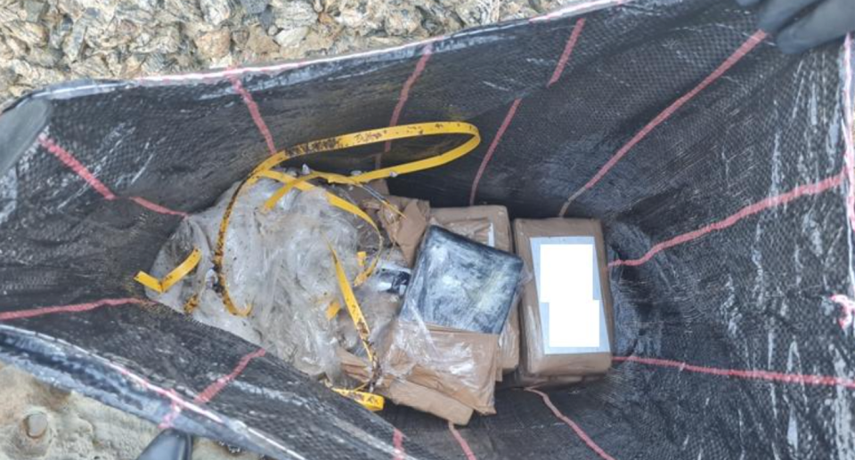 A view of multiple bricks of cocaine in a police bag.  