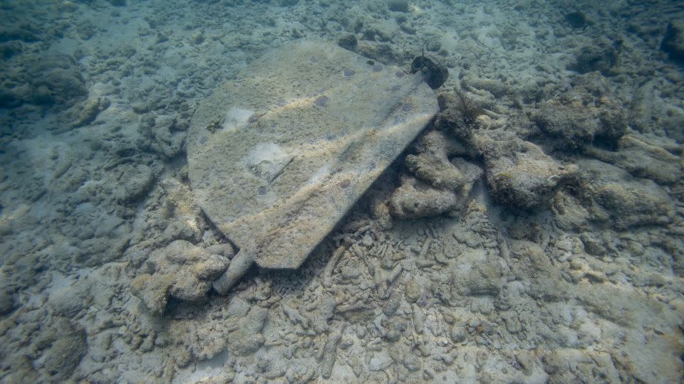 The rudder of a wrecked ship sits in a pile of bleached dead coral in a coral reef in Key West, Florida, on July 16.  - Joseph Prezioso/AFP/Getty Images