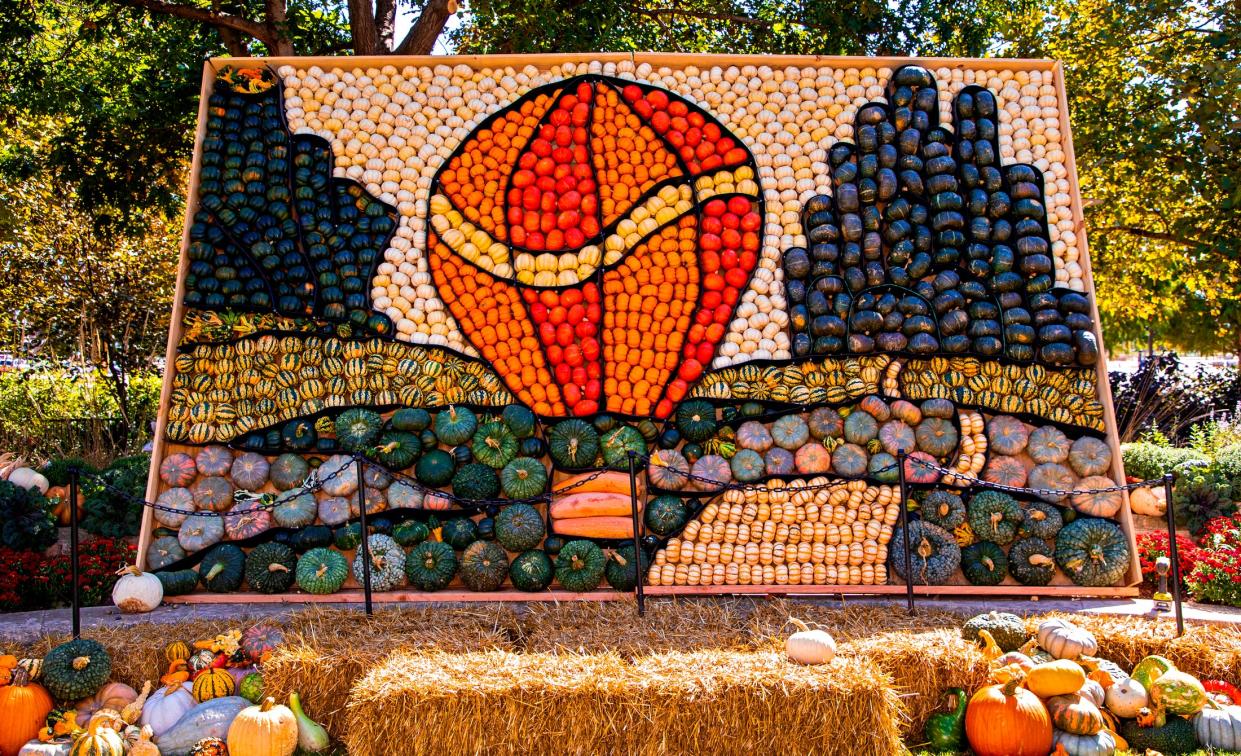 Myriad Botanical Gardens staffer Nate Tschaenn's hot air balloon mural, which he made out of various varieties of pumpkins and gourds for the Myriad Gardens' Pumpkinville festival, is displayed on Oct. 4, 2021, in Oklahoma City.