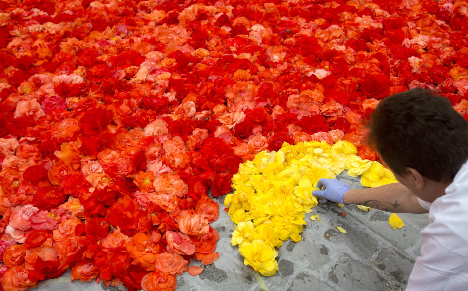 FOTOS | México protagoniza tradicional alfombra floral gigante de Bruselas