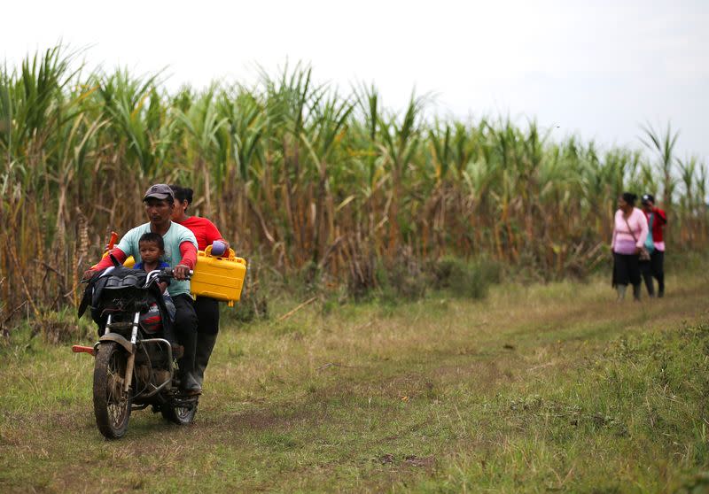 Una familia indígena es transportada en una motocicleta por un cañaveral donde, según su comunidad, están liberando y recuperando la tierra de los monocultivos, en Padilla, departamento del Cauca