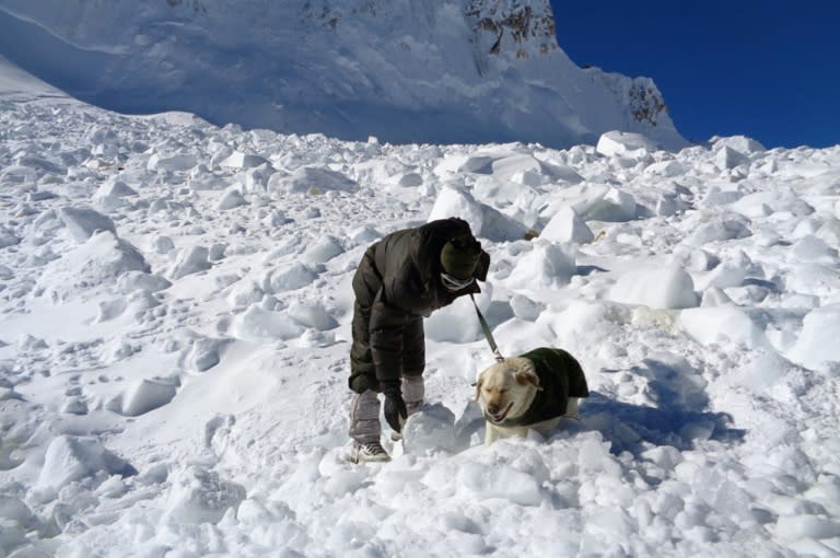 An Indian soldier and dog search for survivors after a deadly avalanche on the Siachen glacier, February 8, 2016