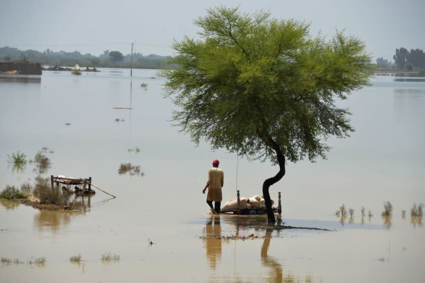 A villager uses cots to save usable items after salvaging from his flood-hit home, in Jaffarabad, a district of Pakistan's southwestern Baluchistan province, Saturday, Aug. 27, 2022. Army troops are being deployed in Pakistan's flood affected area for urgent rescue and relief work as flash floods triggered after heavy monsoon rains across most part of the country lashed many districts in all four provinces. (AP Photo/Zahid Hussain)