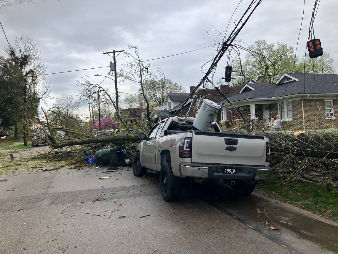 Multiple trees are down on University Avenue, near the University of Kentucky campus, after storms swept through Central Kentucky on April 2, 2024. Thousands are without power, including the area near campus.