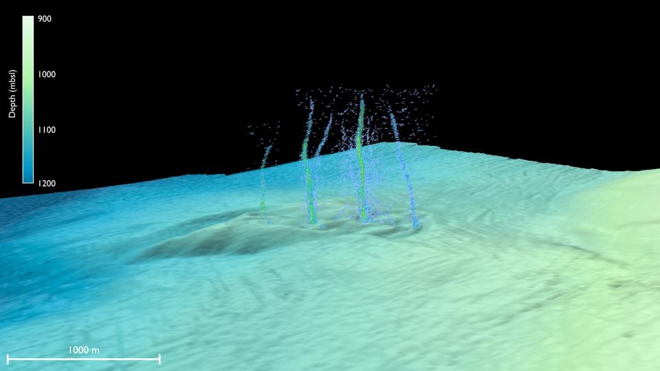 Pythia's Oasis, a set of fluid seeps off the Oregon coast, as imaged on sonar in 2018.