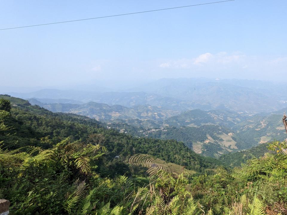 A lookout with lush greenery