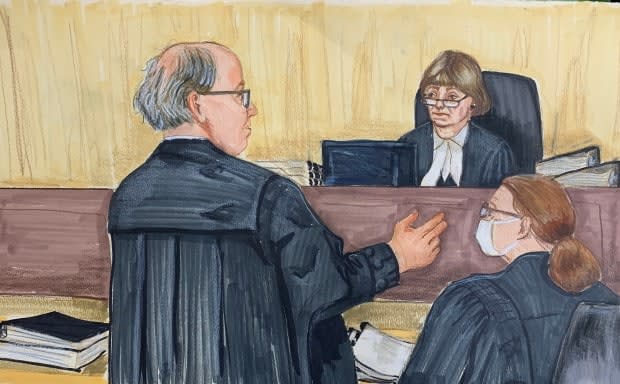 In this courtroom sketch, Crown lawyer Robert Frater urges Associate Chief Justice Heather Holmes not to toss the extradition proceedings against Meng Wanzhou. Frater said the judge should leave politics to politicians. 