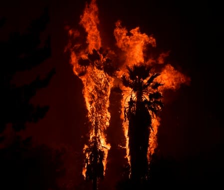 Palm trees explode into flames from a wind-driven wildfire called the Saddle Ridge fire in the early morning hours Friday in Porter Ranch