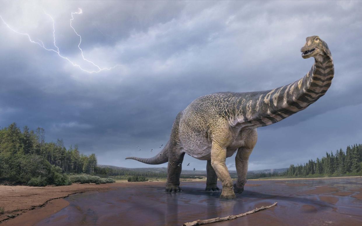 Australotitan cooperensis is a new species of giant sauropod dinosaur  - Vlad Konstantinov / Eromanga Natural History Museum