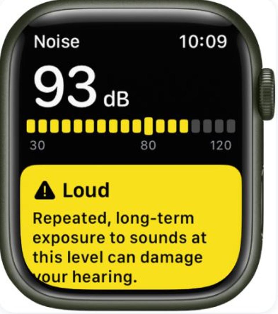 A noise warning on the Apple Watch (Apple)