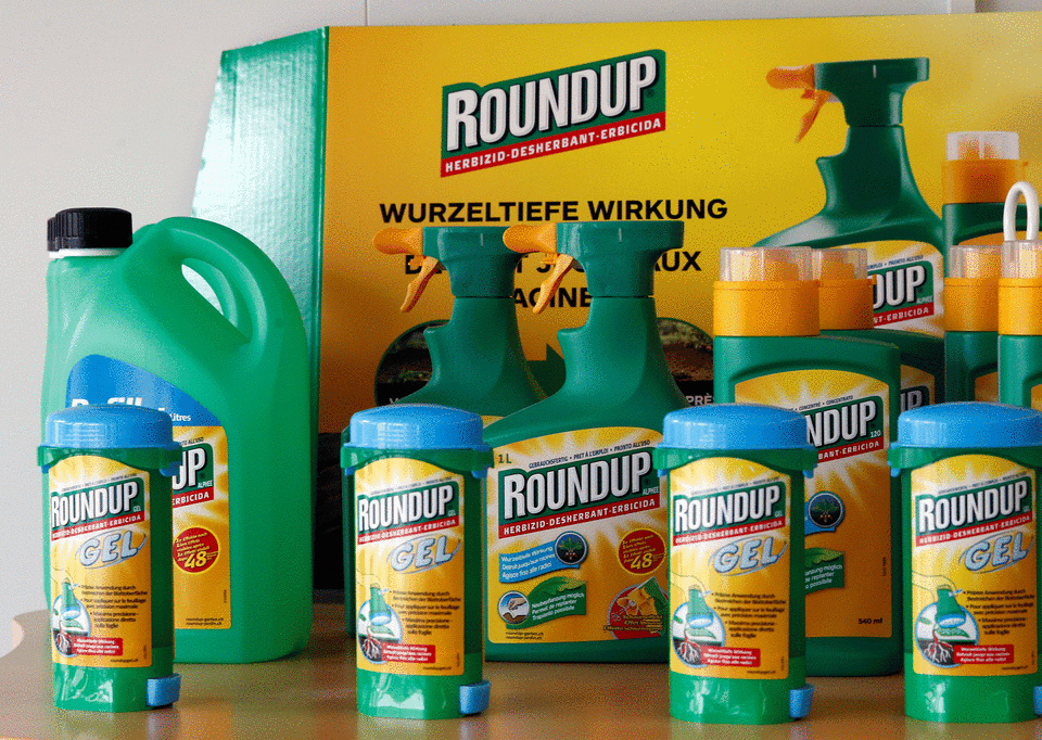 MEPs were said to be angered by Monsanto’s decision not to attend an event run by the environment and agriculture committees: Reuters
