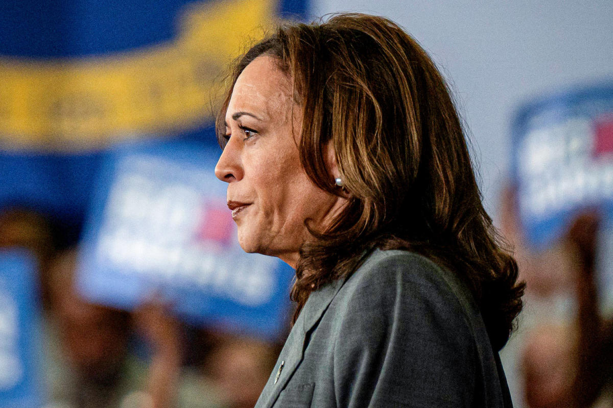 Donors leave call with Kamala Harris frustrated and annoyed