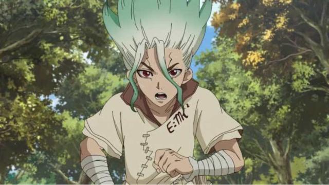 Ibara, Dr. Stone Wiki