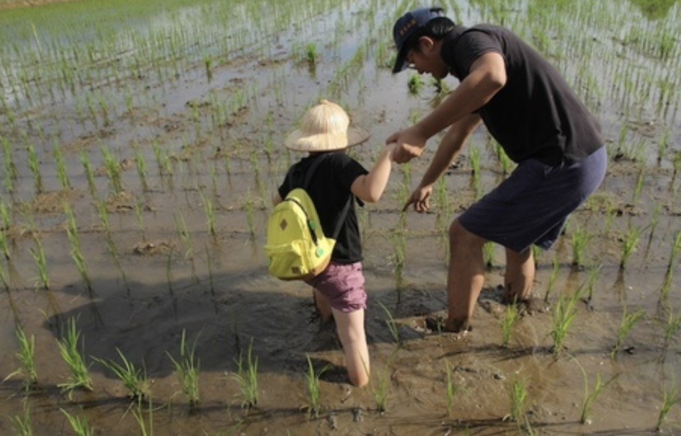 自然耕種源天然 力推米食復興（照片來源：源天然官網）